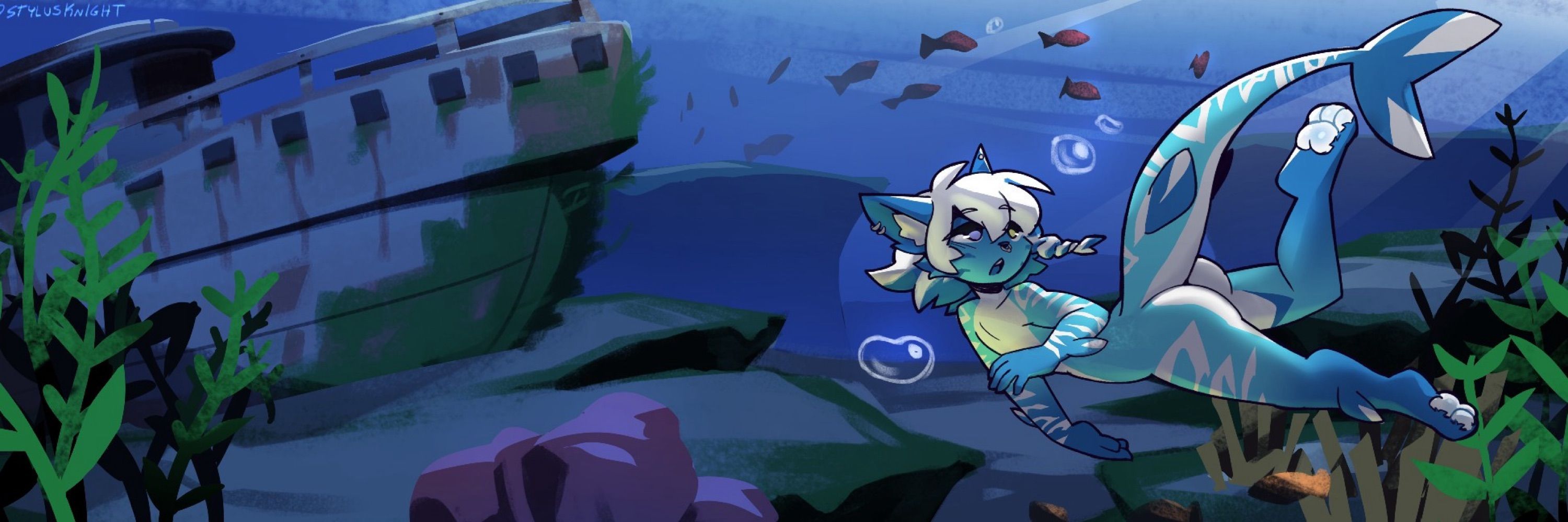 DumbCatShark