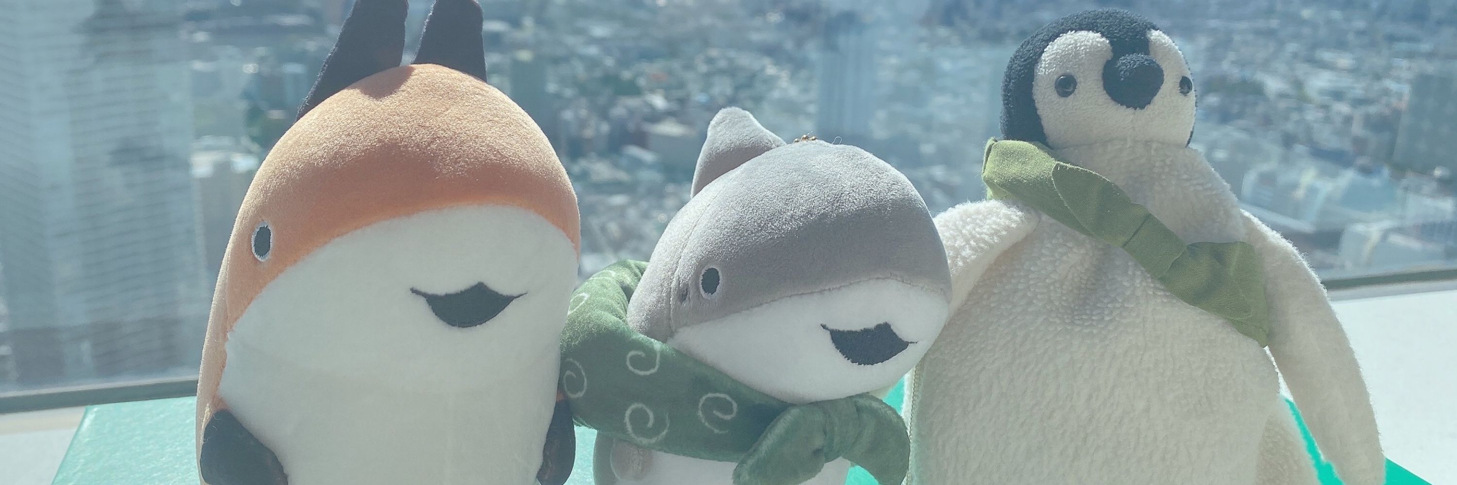 しゃけこ