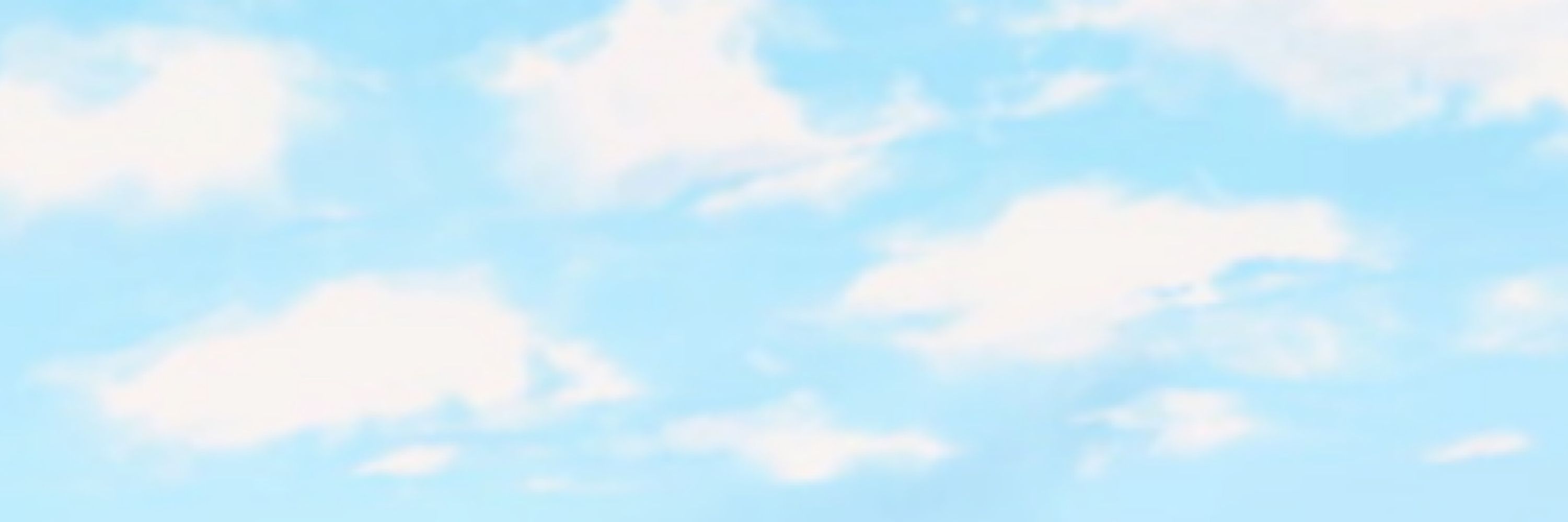もちのすけ。