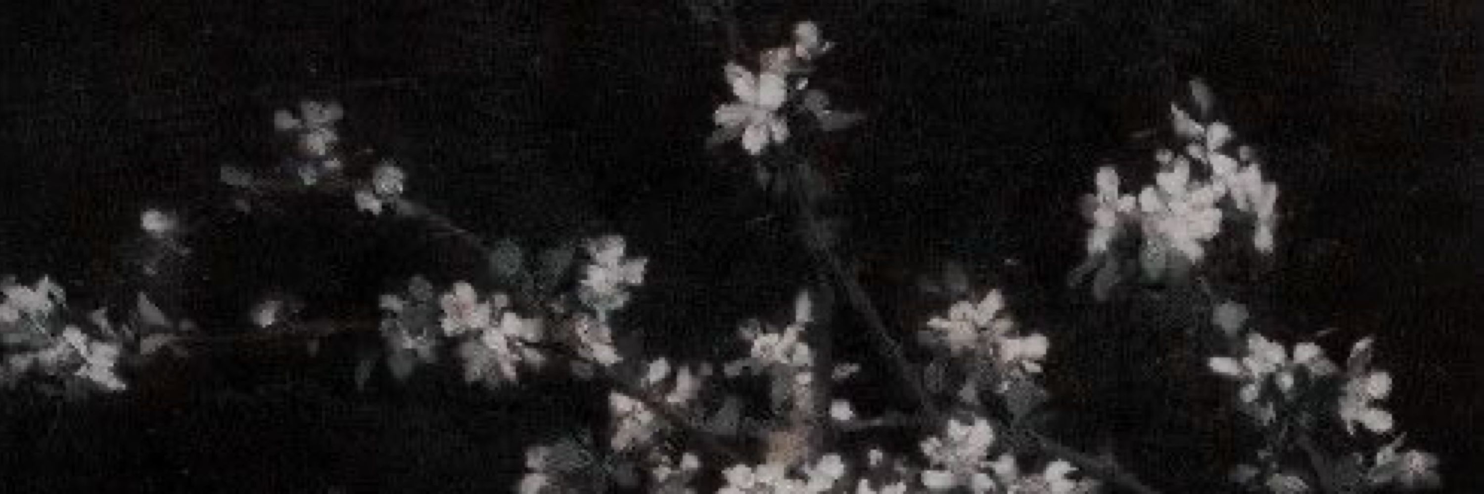 ℛ𝒾𝓇𝒾.