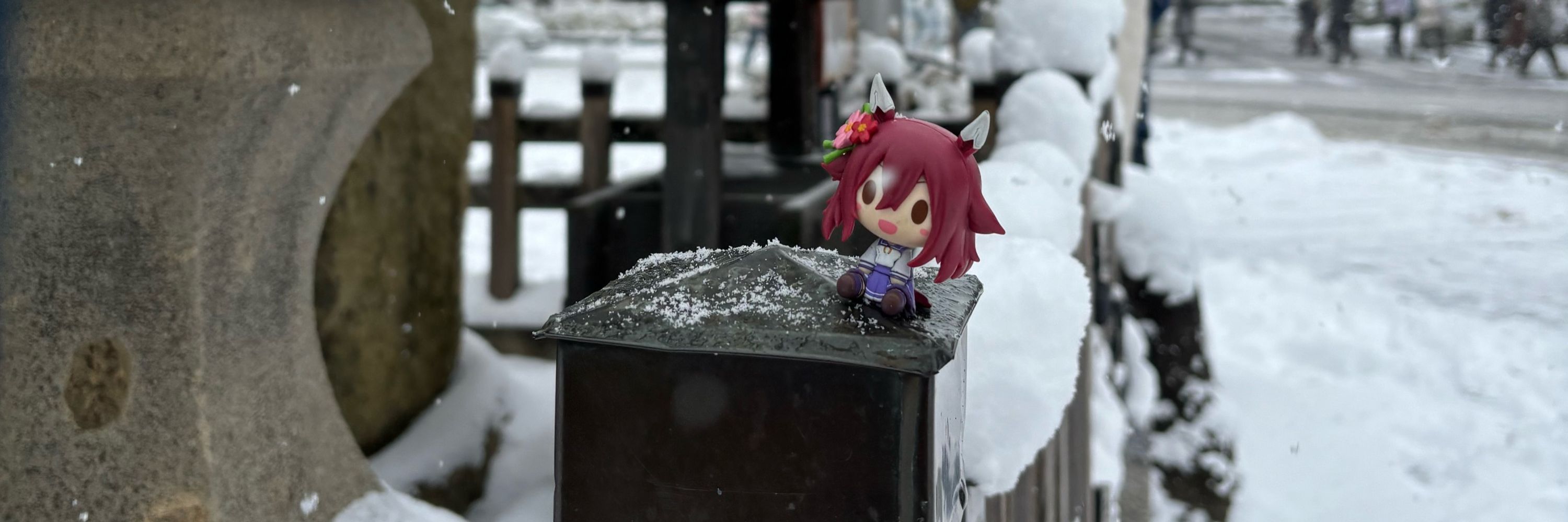 猫屋敷チヨワサ