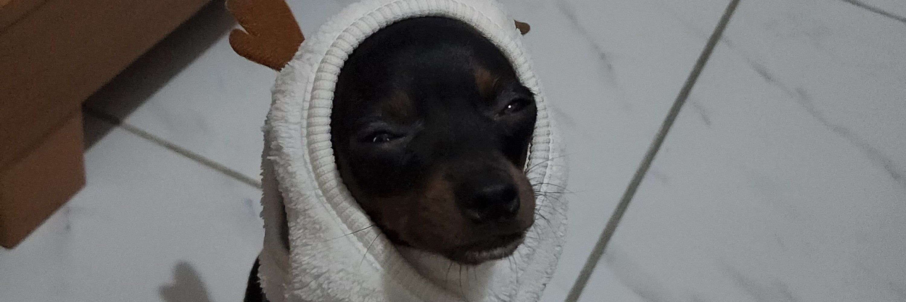 Laurinha