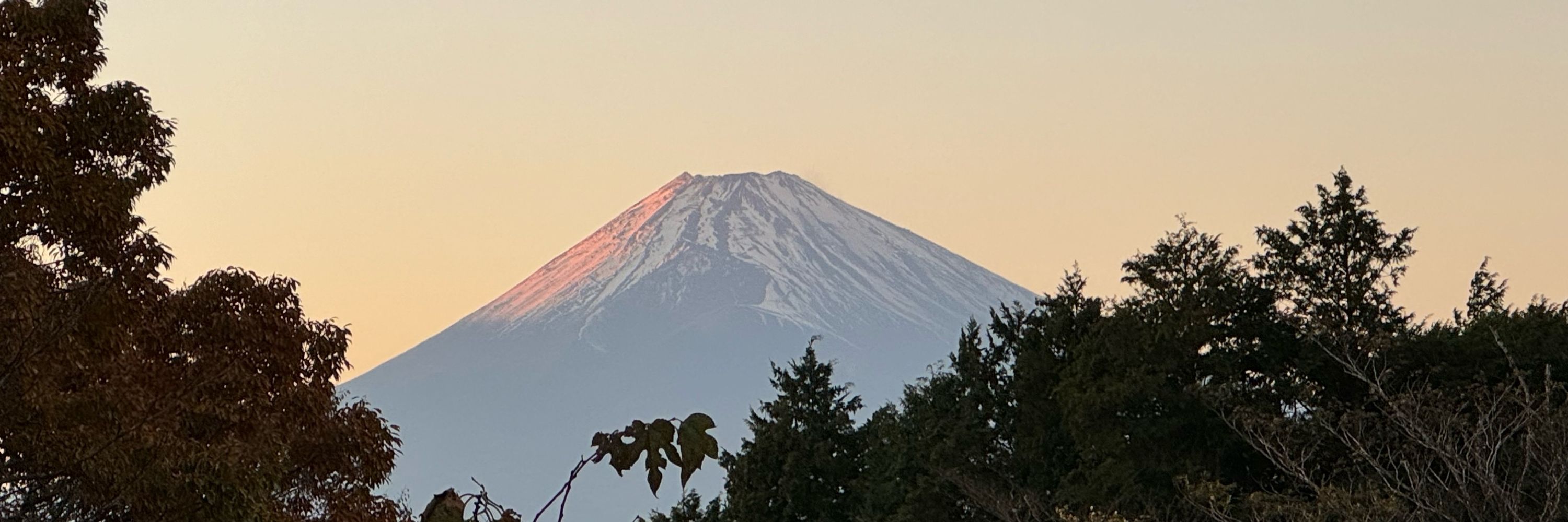 リリカル