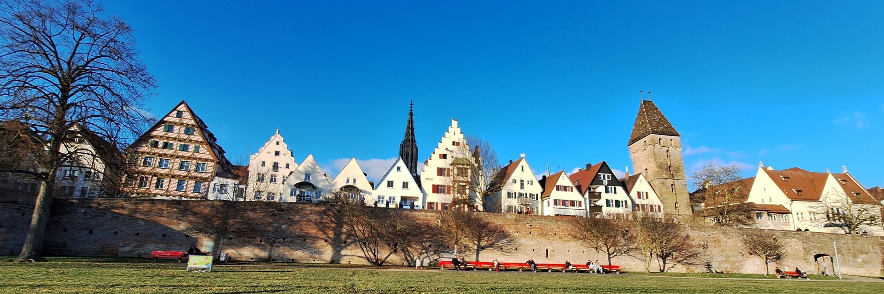 Plüschmors