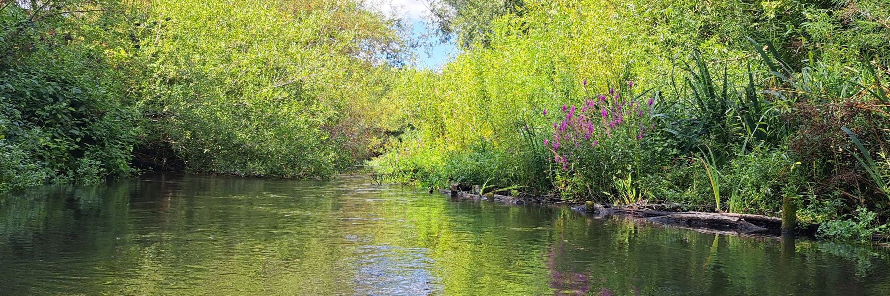 Thames Rivers Trust