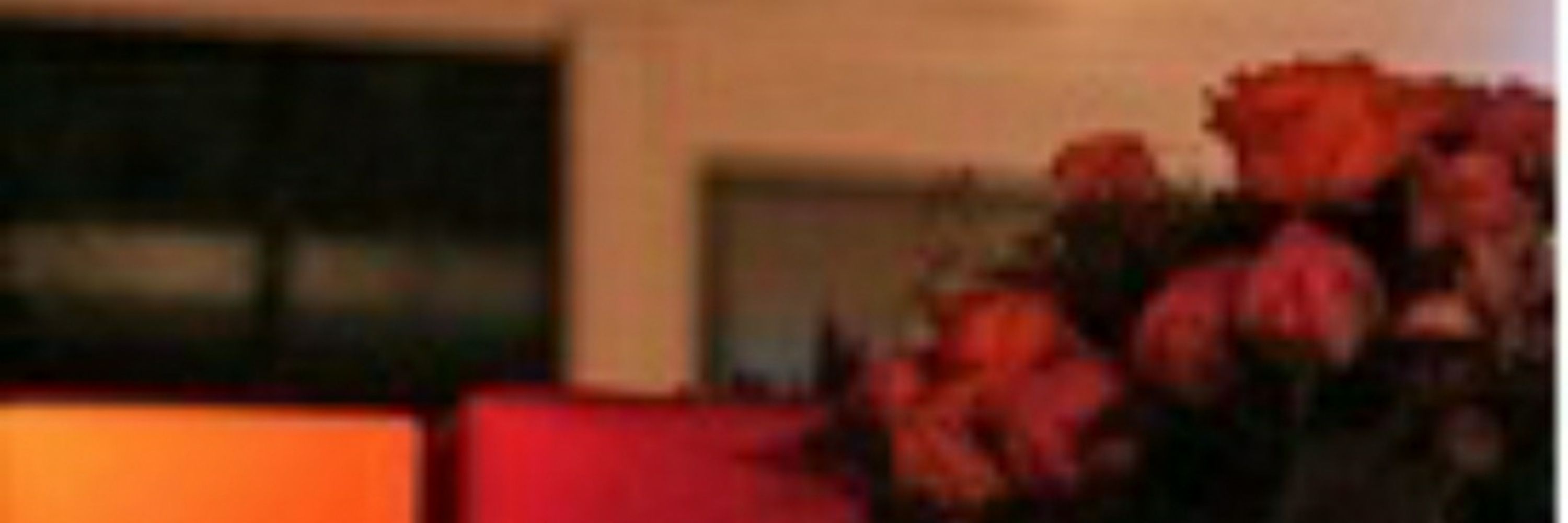 Sylsyl75