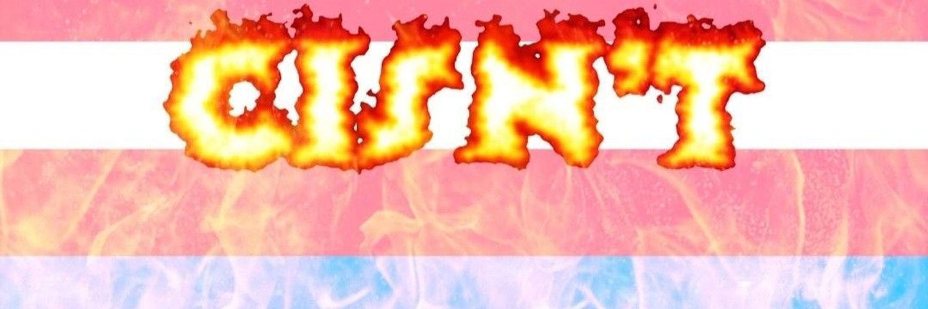 𝑽𝒐𝒊𝒅𝒍𝒊𝒏𝒈𝒛, 𝑻𝒉𝒆 𝑪𝒊𝒔𝒏'𝒕 🏳️‍⚧️