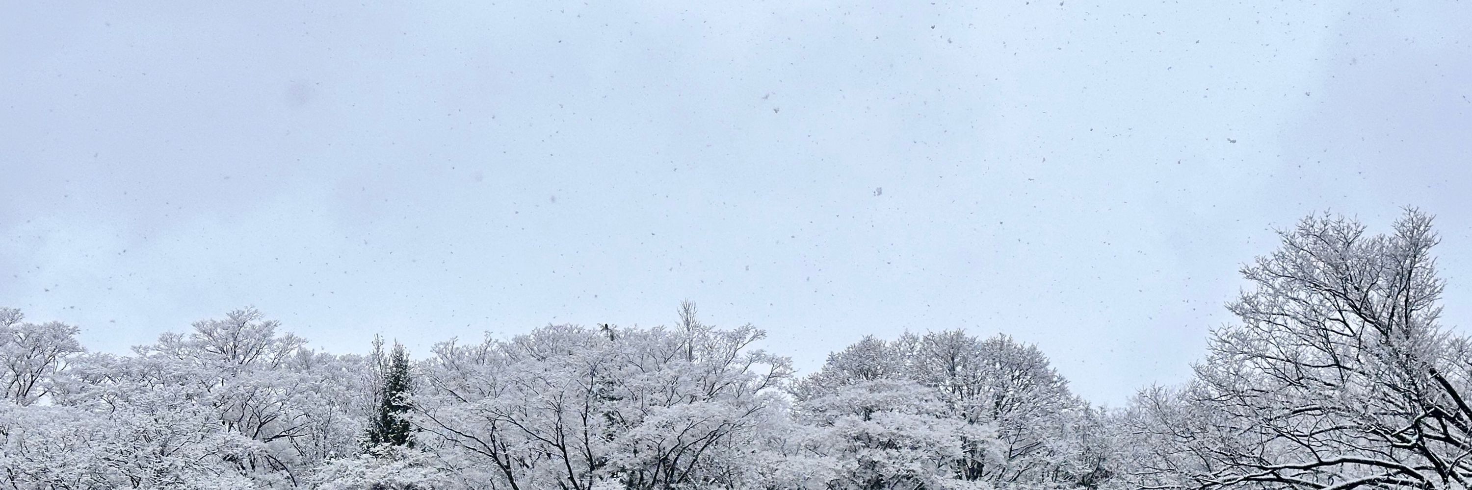 ぬや