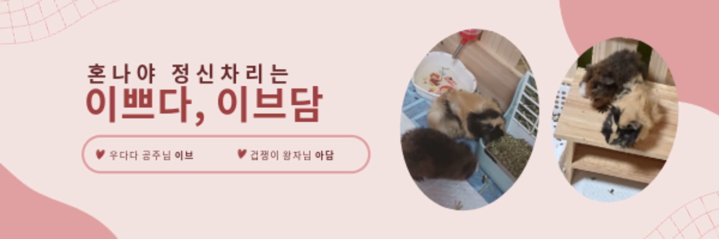 이브담