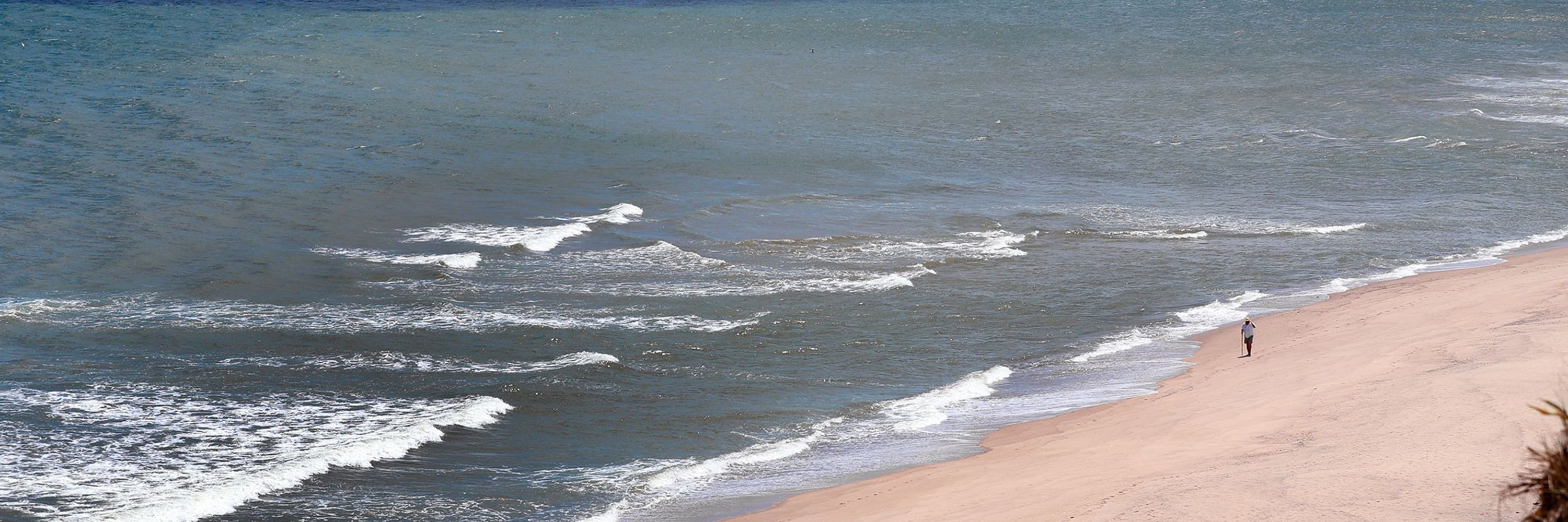Don Wilding’s Cape Cod
