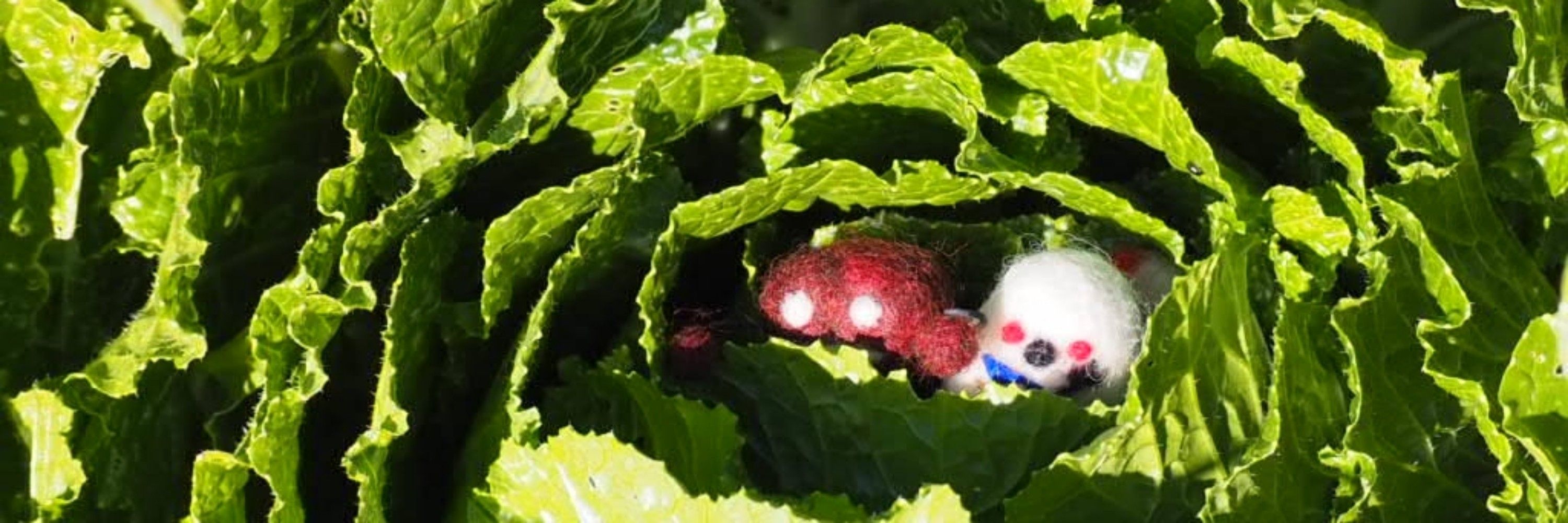 だし