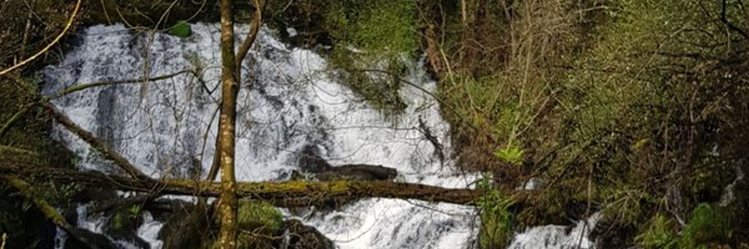 Refuxio Climático O LuscoFusco