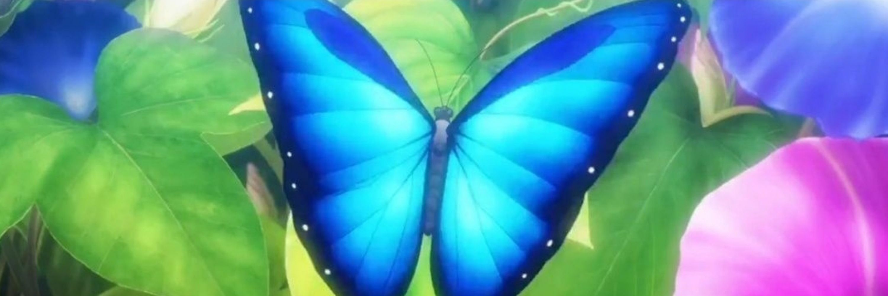 ICHIYAKO 🦋