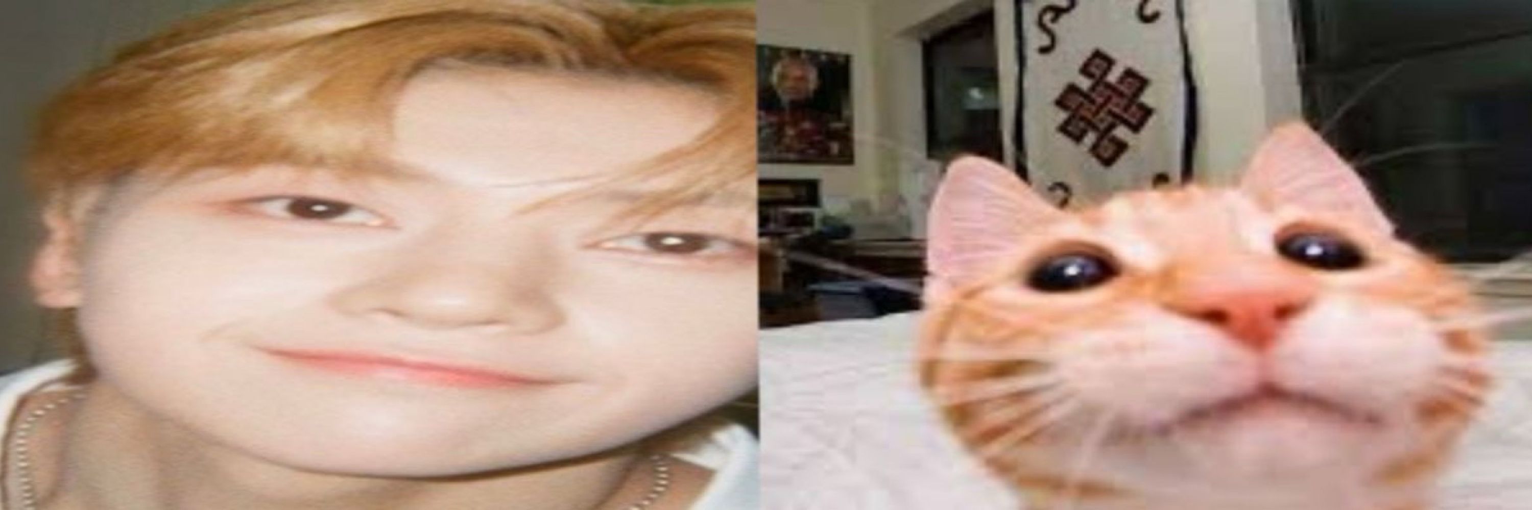 seok matthew archive 🦊