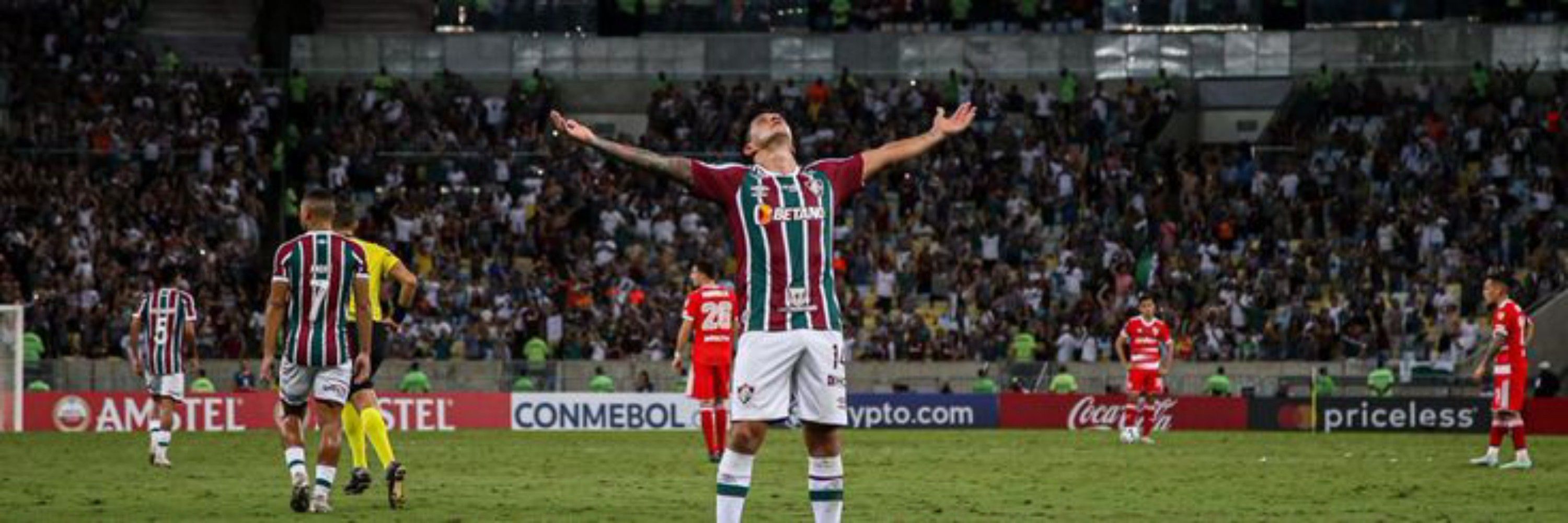 FLUZUDO 
