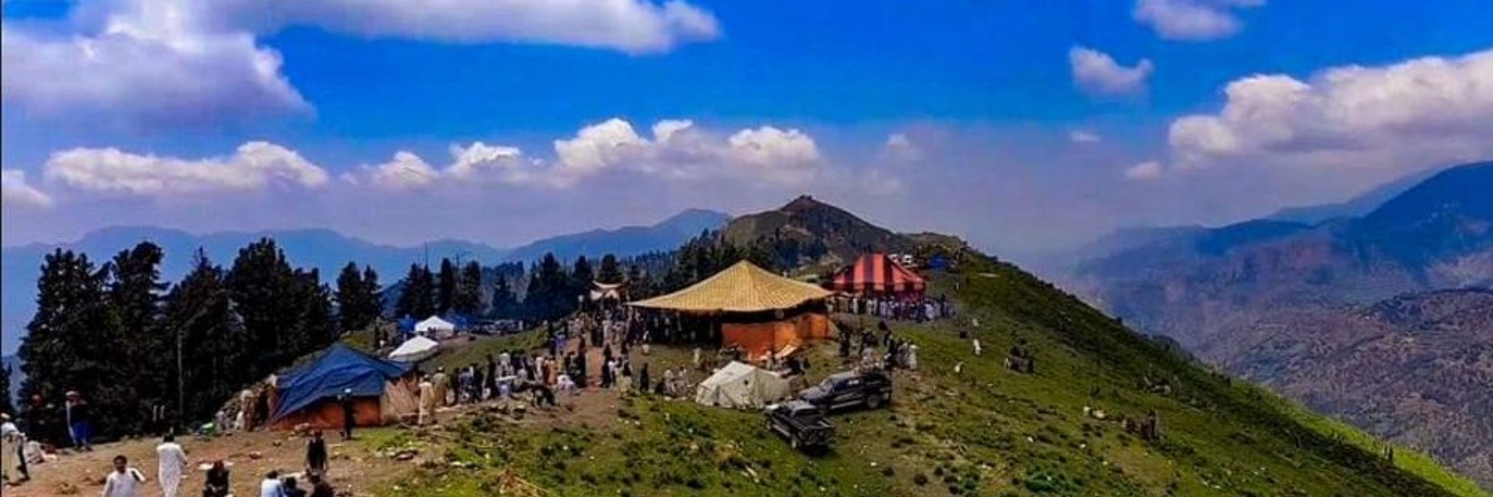 @riazchamkani