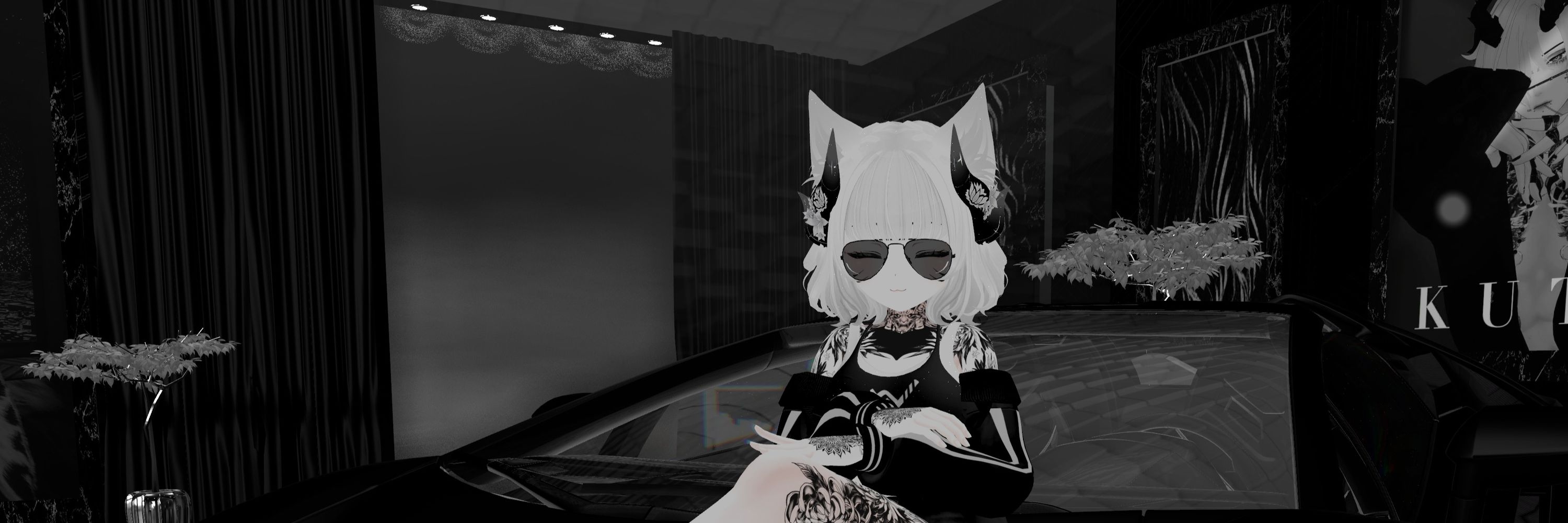 極夜星兔