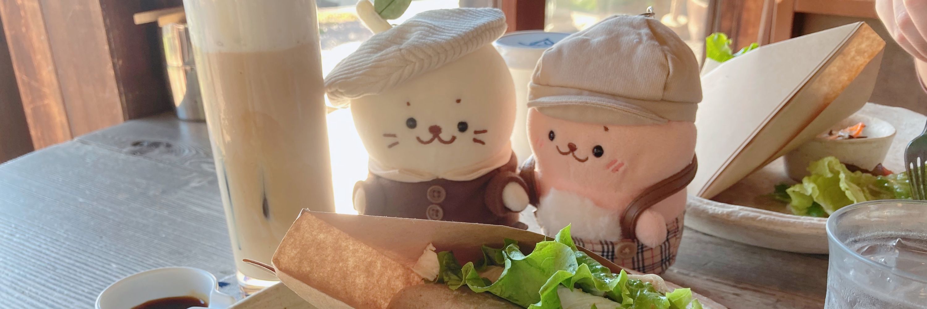 しらこたん