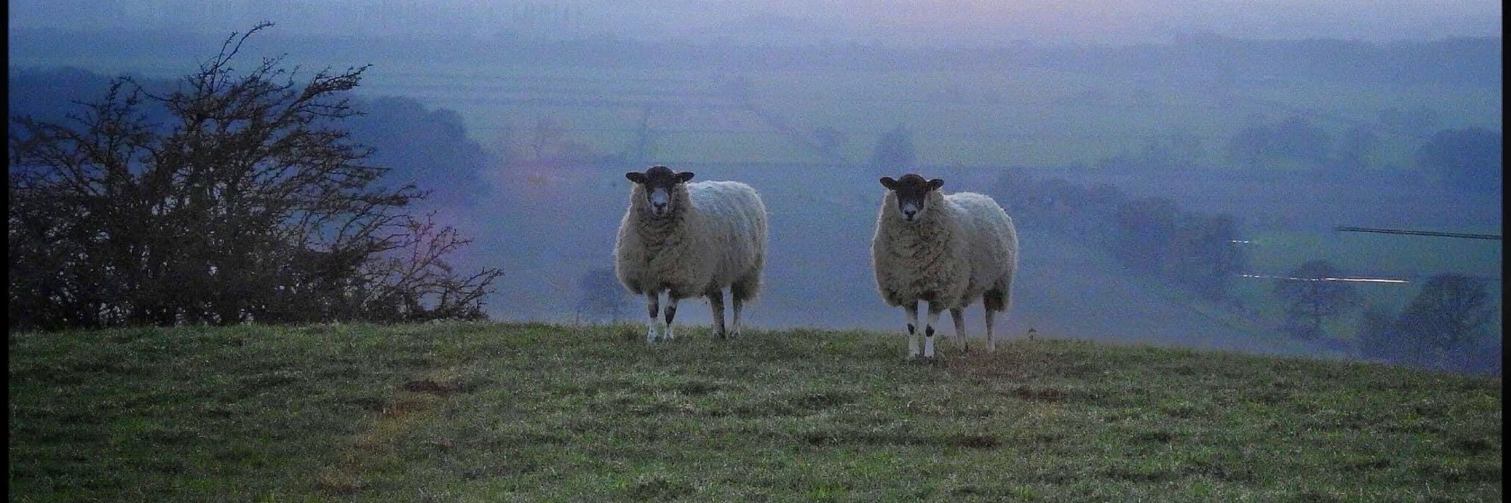 MoorbankPaul