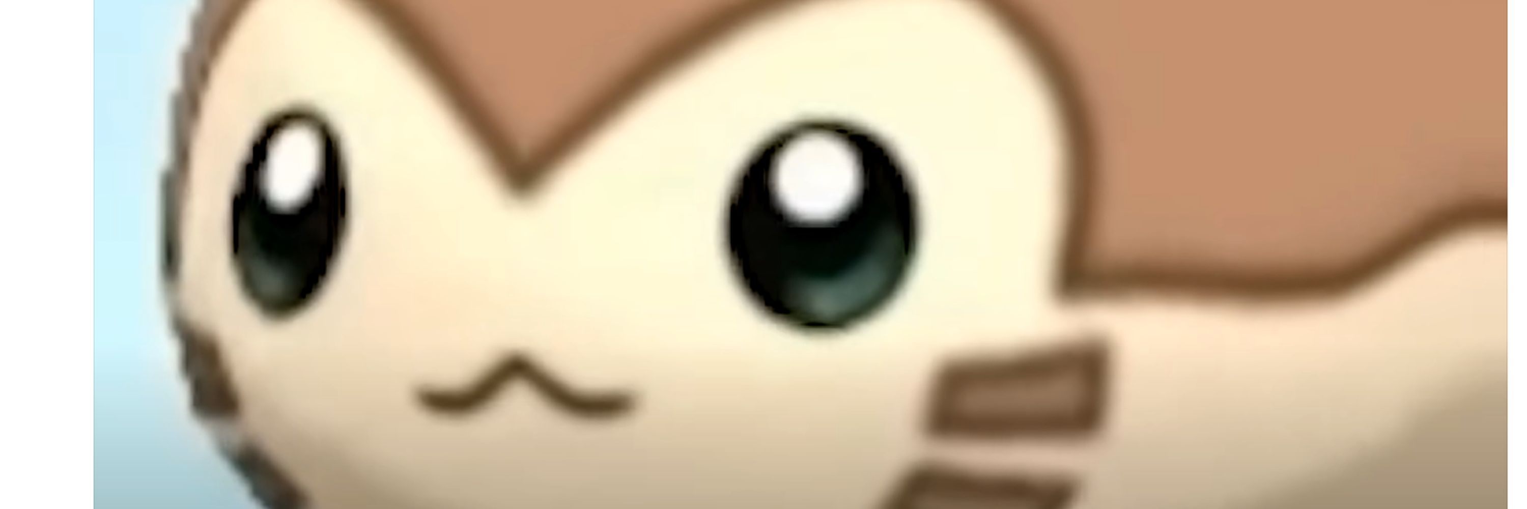 Furret Propaganda
