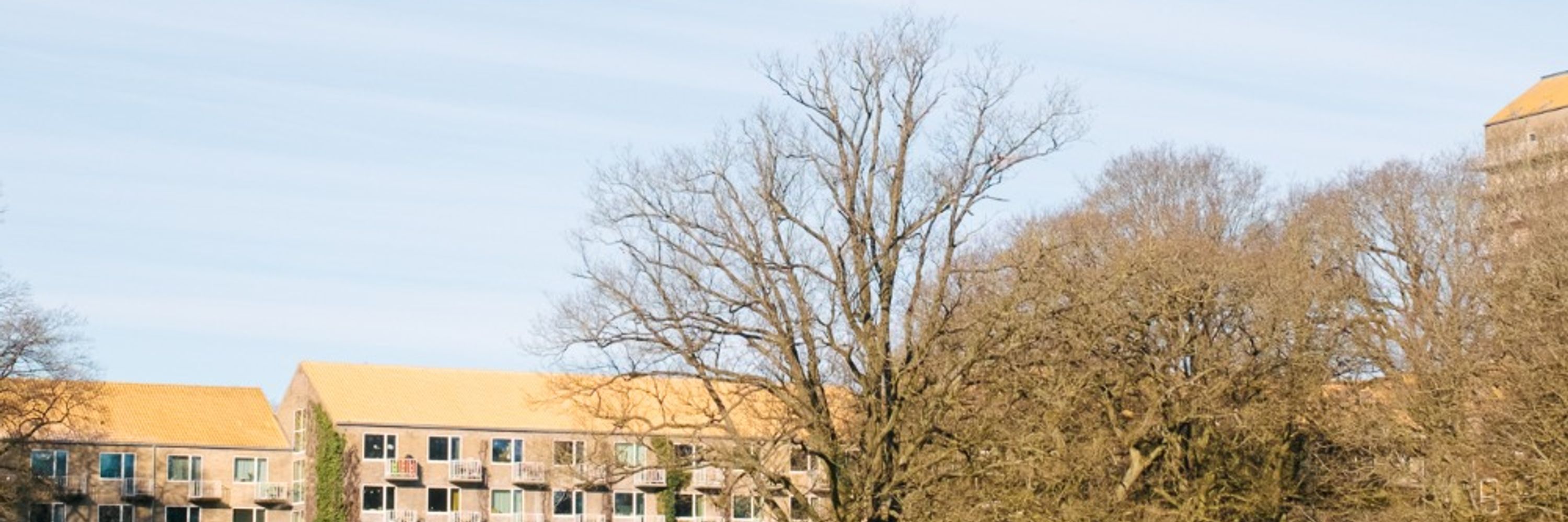 Aarhus Uni International