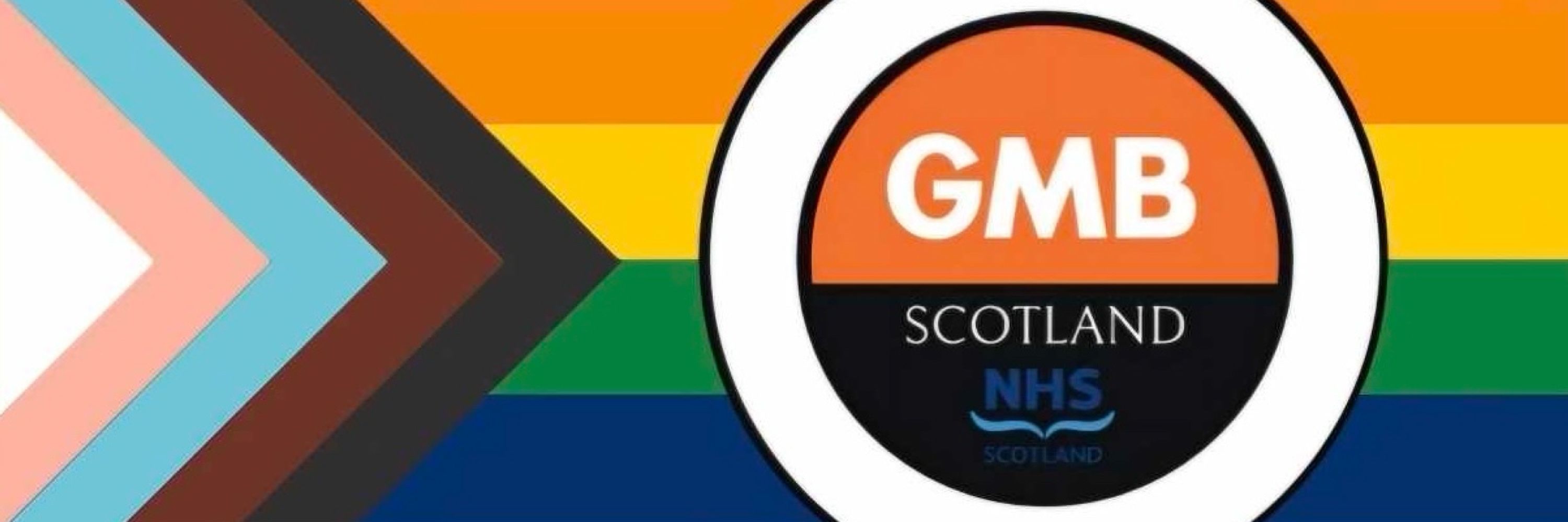 Ciorstaidh Bsc RGN GC💙🏳️‍🌈🏳️‍⚧️
