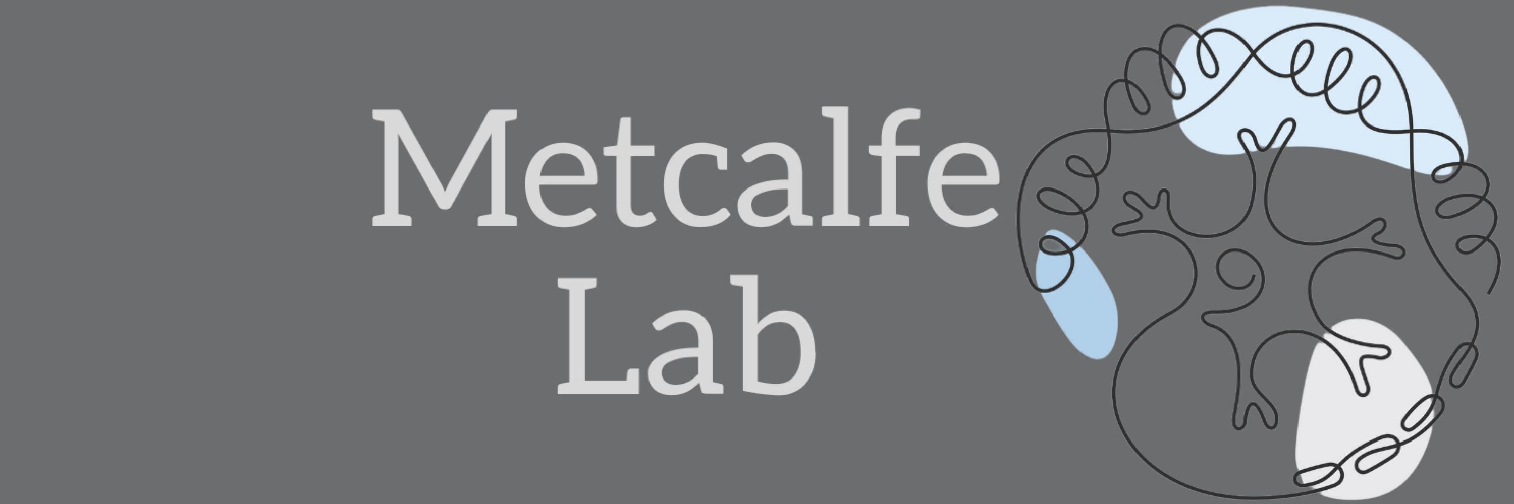 MJ Metcalfe