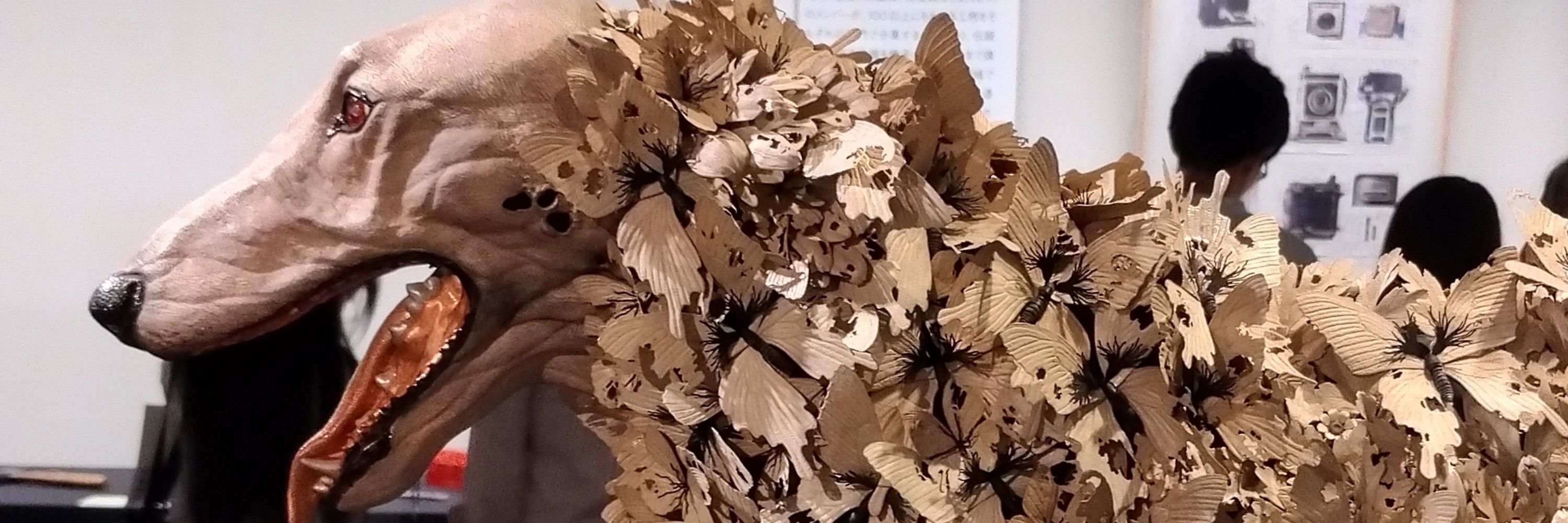 モフモフ