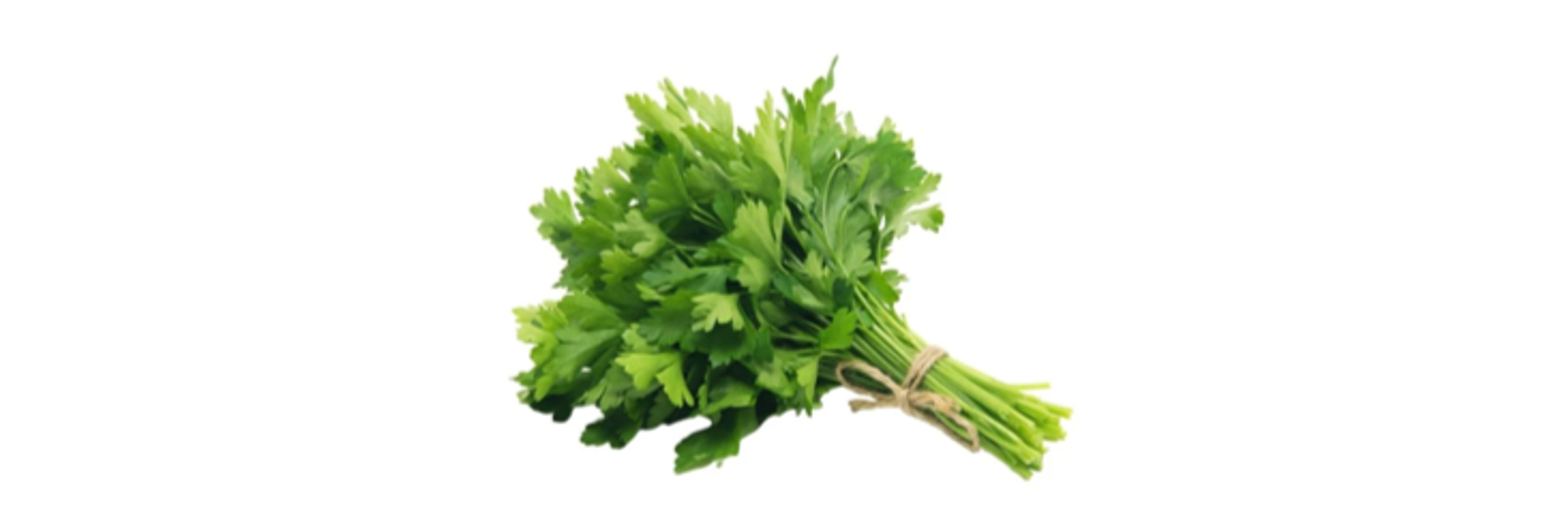 Parsley! (is on a break)