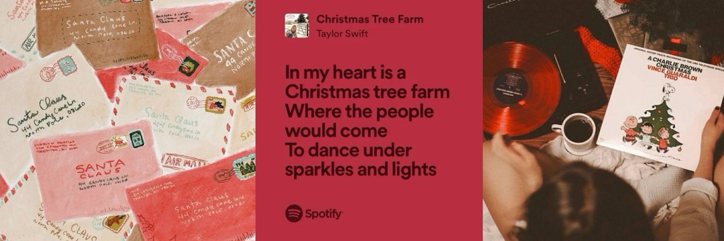 sierra 🎄❤️