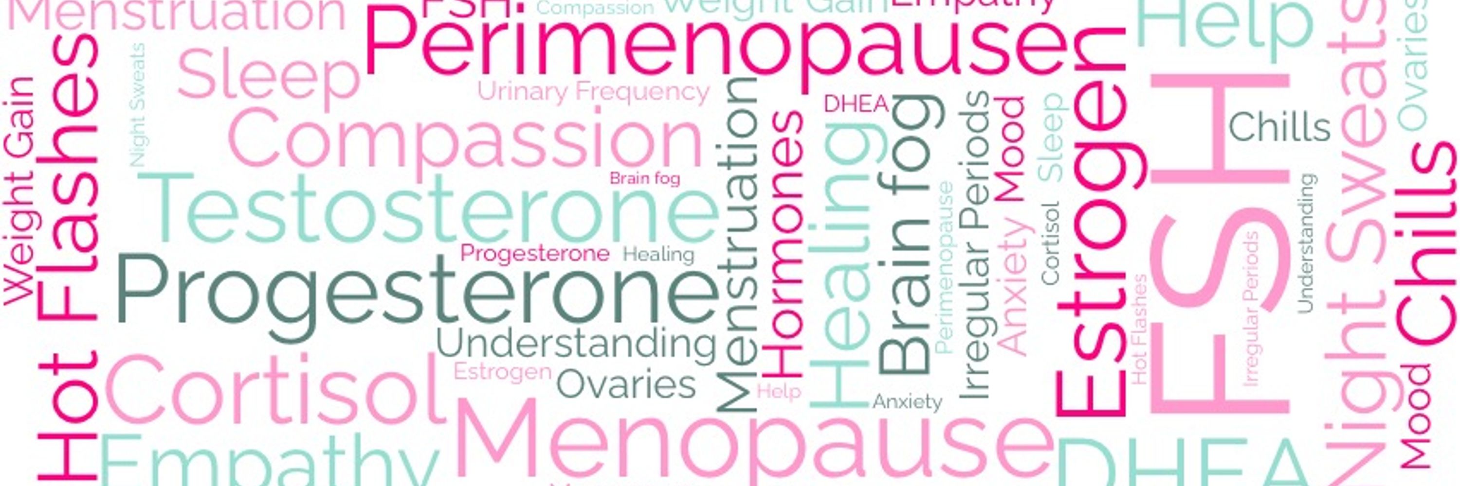 The Periprofessional Perimenopause Education 