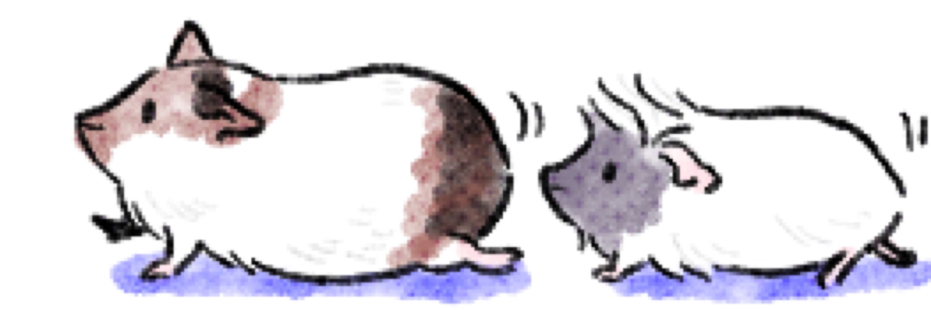 ノラ