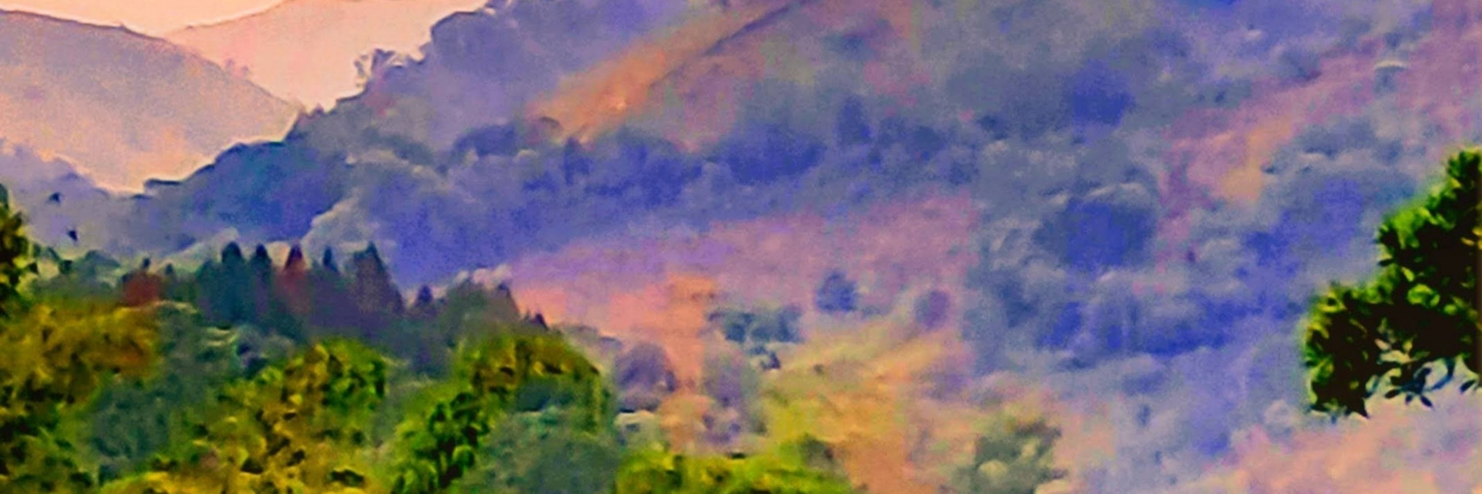 JoAnn T. Blankenship