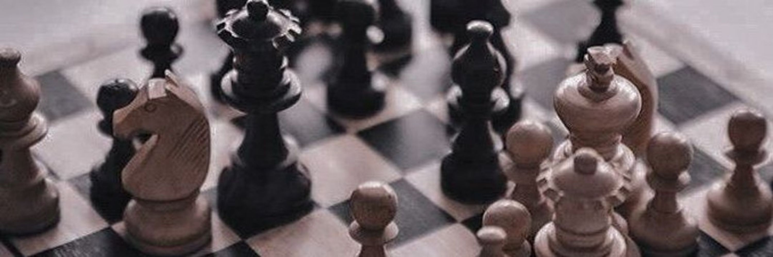 CHESS BUNNY 트친 찾아요