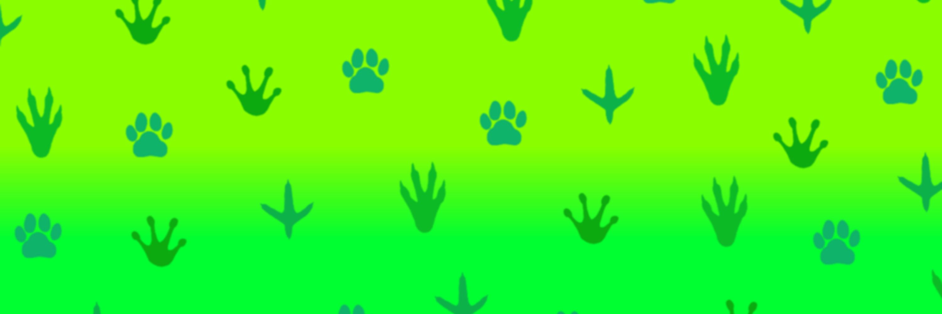 Baxter's Animations