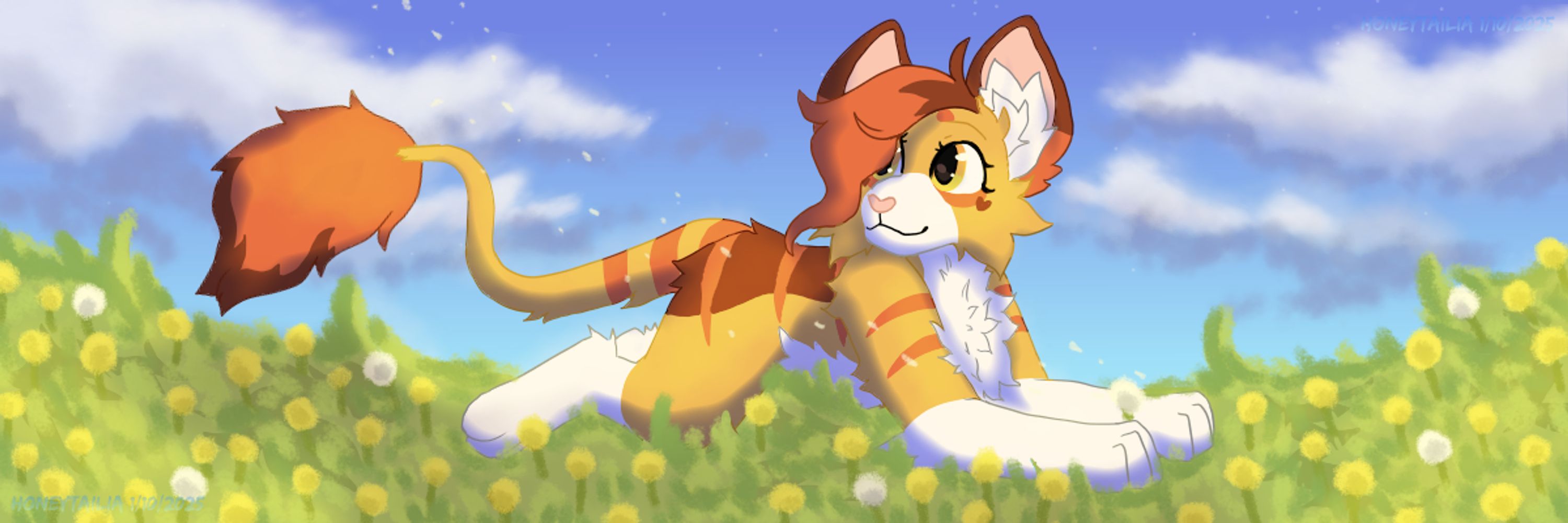 honeytailia