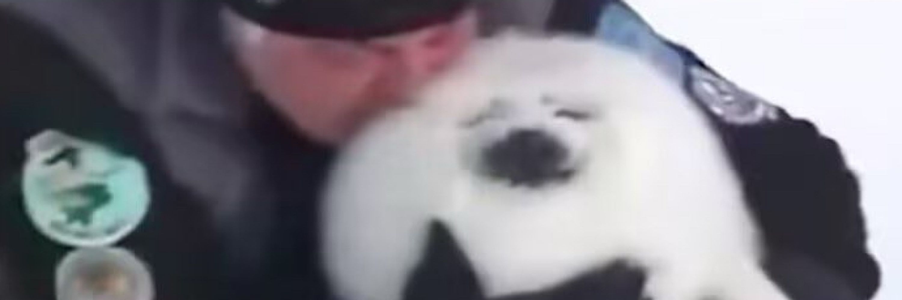 TT