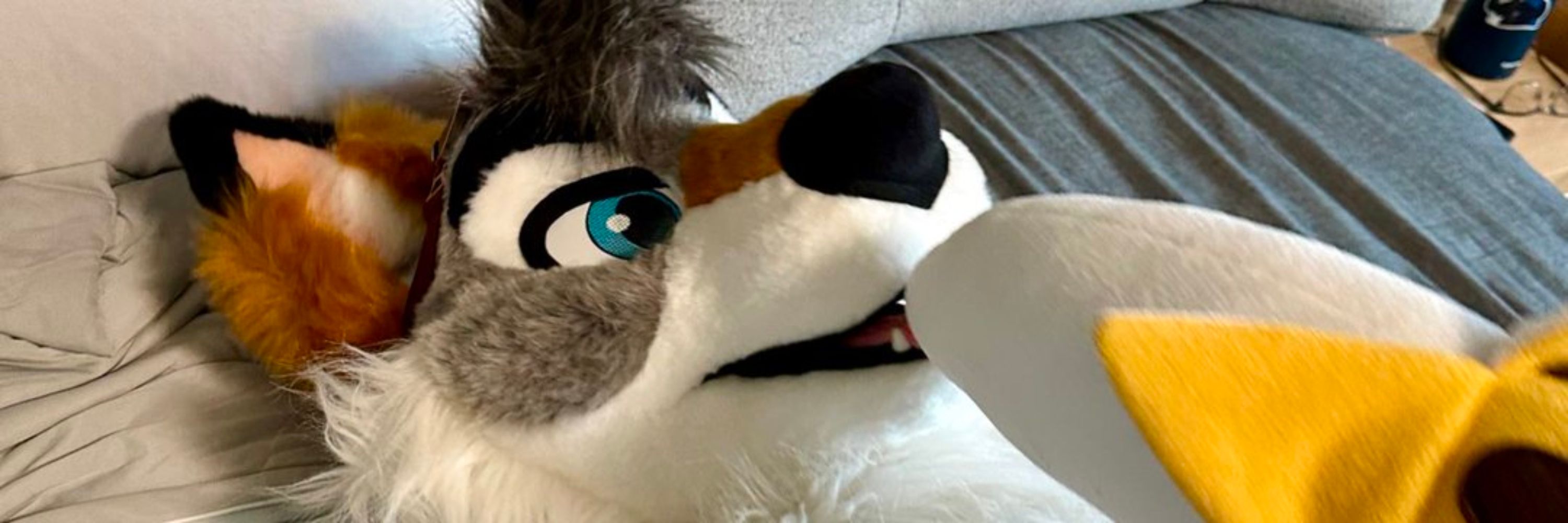Kane Yote (Angy, Andy, and Cobalt) 🔜 FC