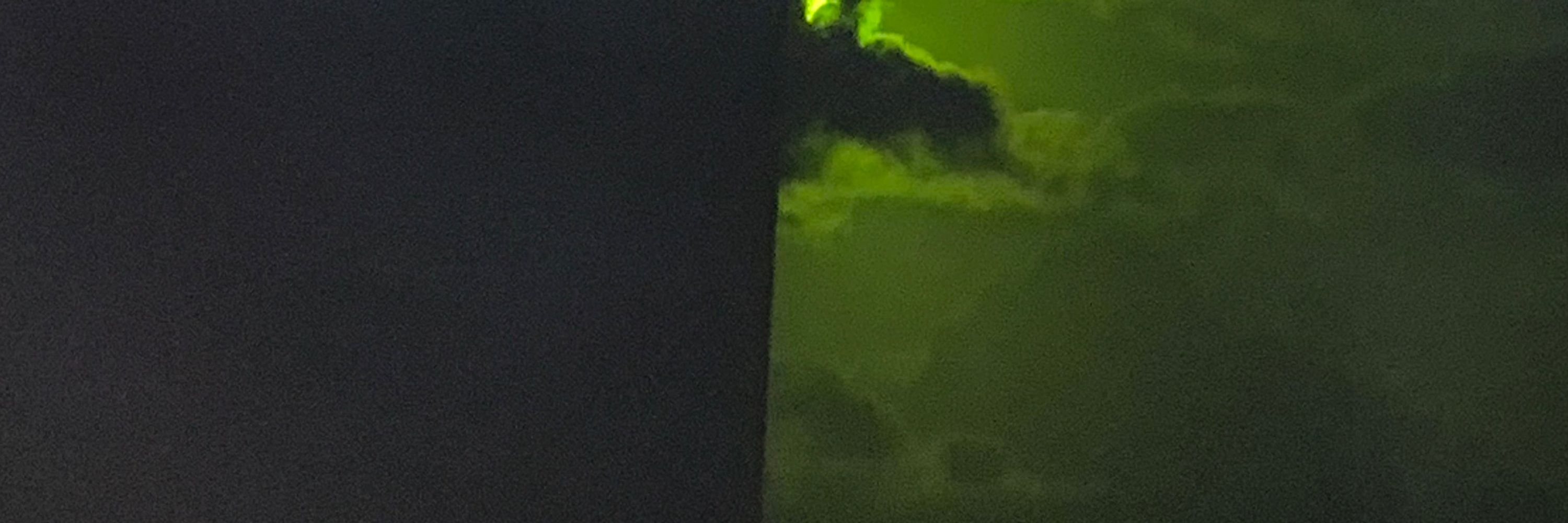 Pedro
