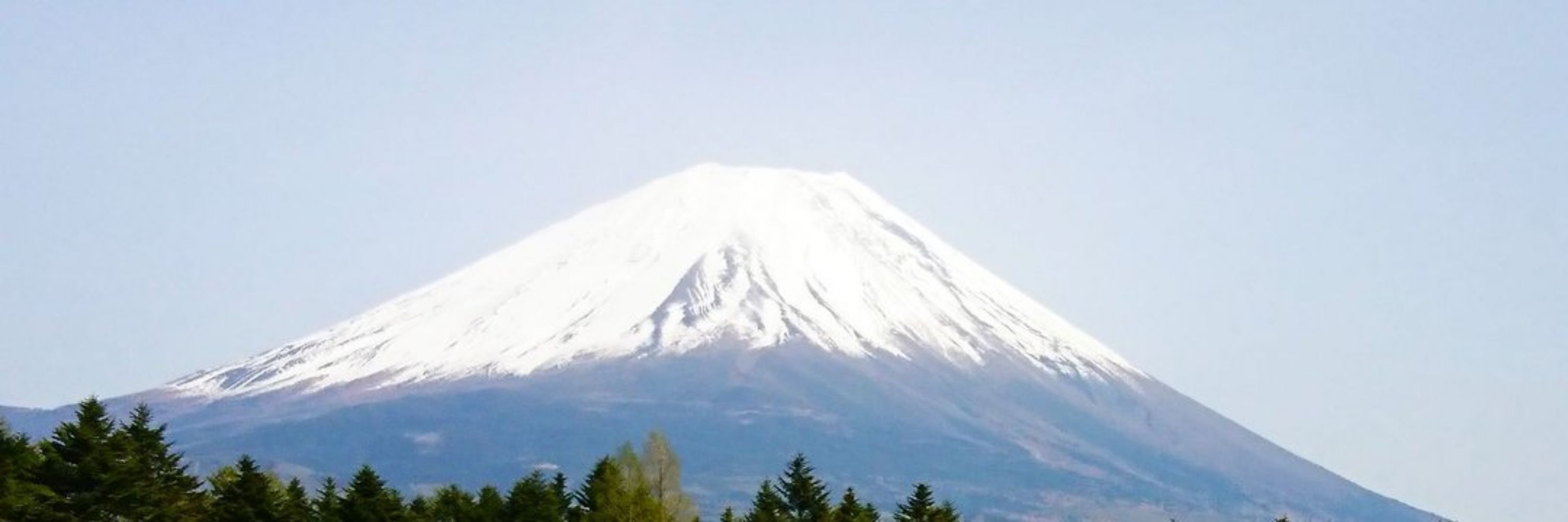 のばやん