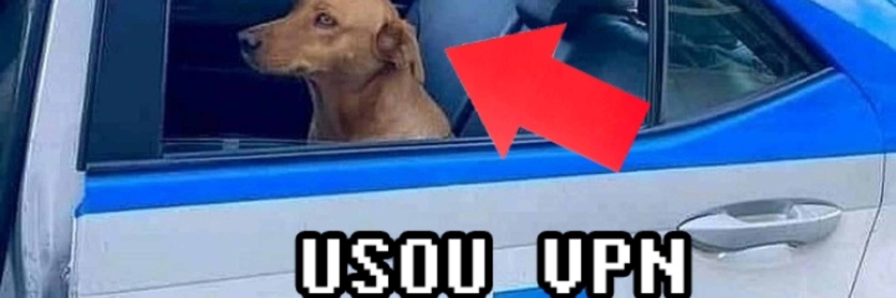 Vitor Garcia