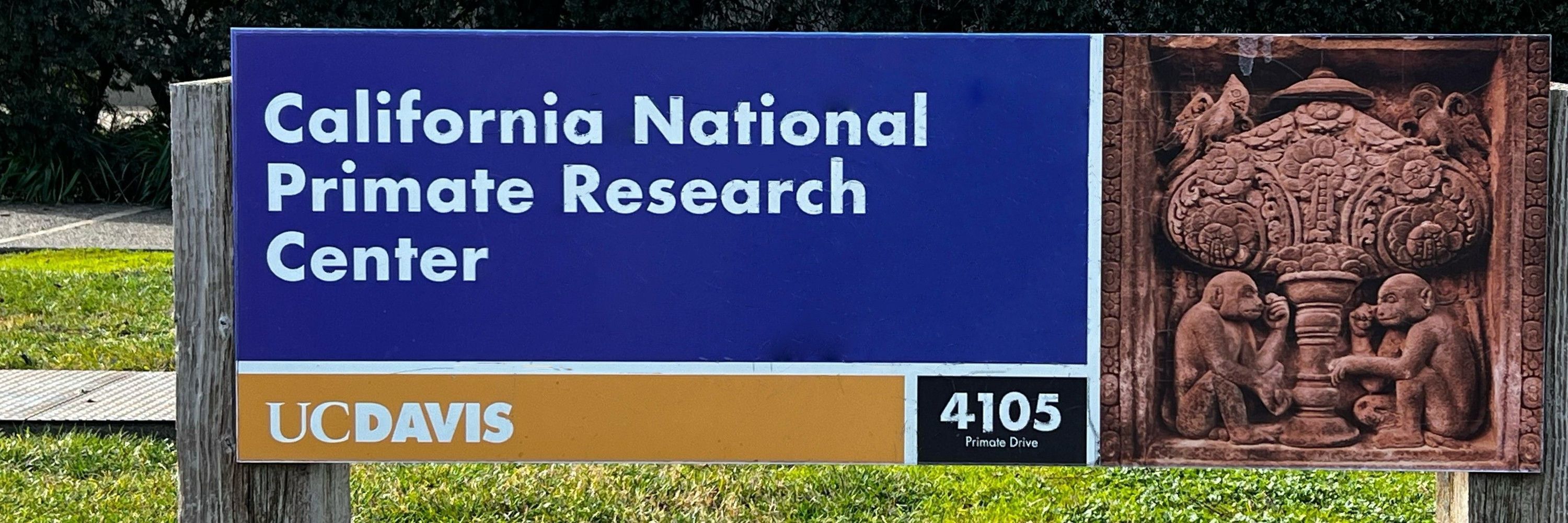 California National Primate Research Center