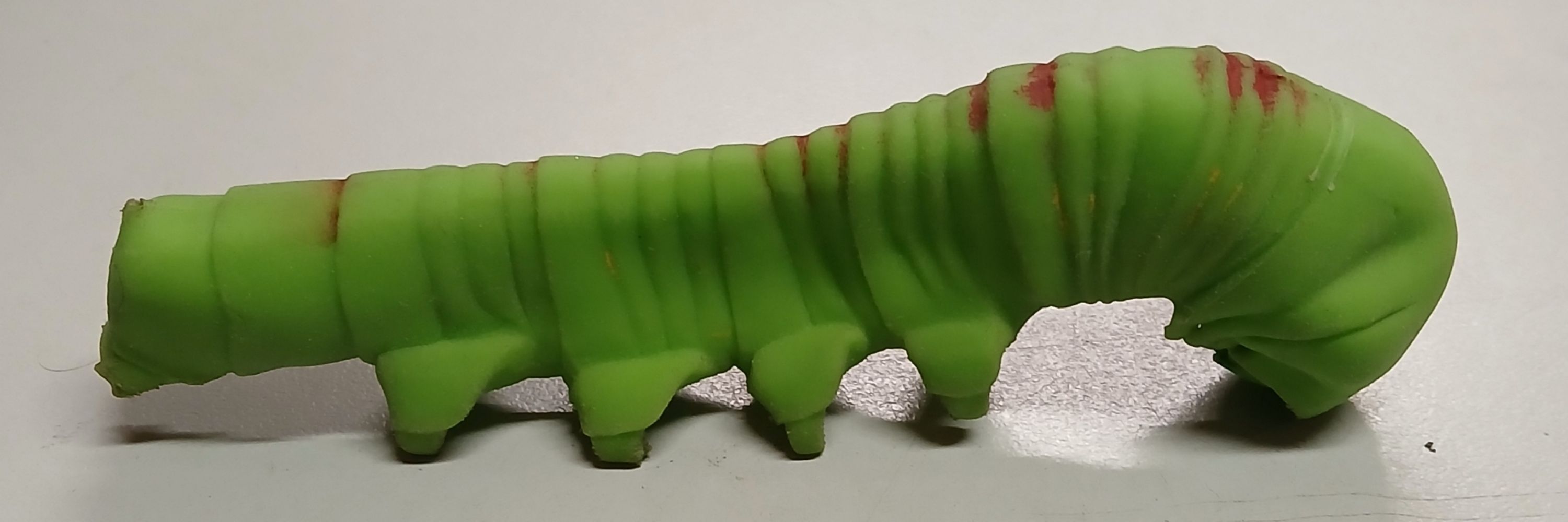 Nuibea 🌷🐛