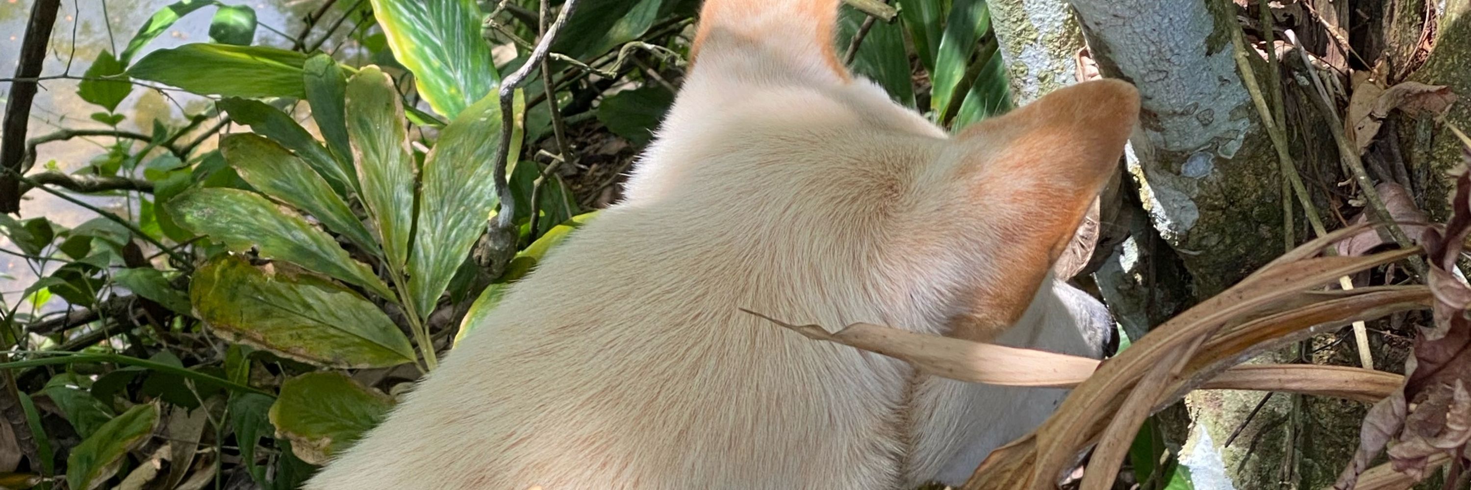 นี่เป็นติ่ง🌟🥰