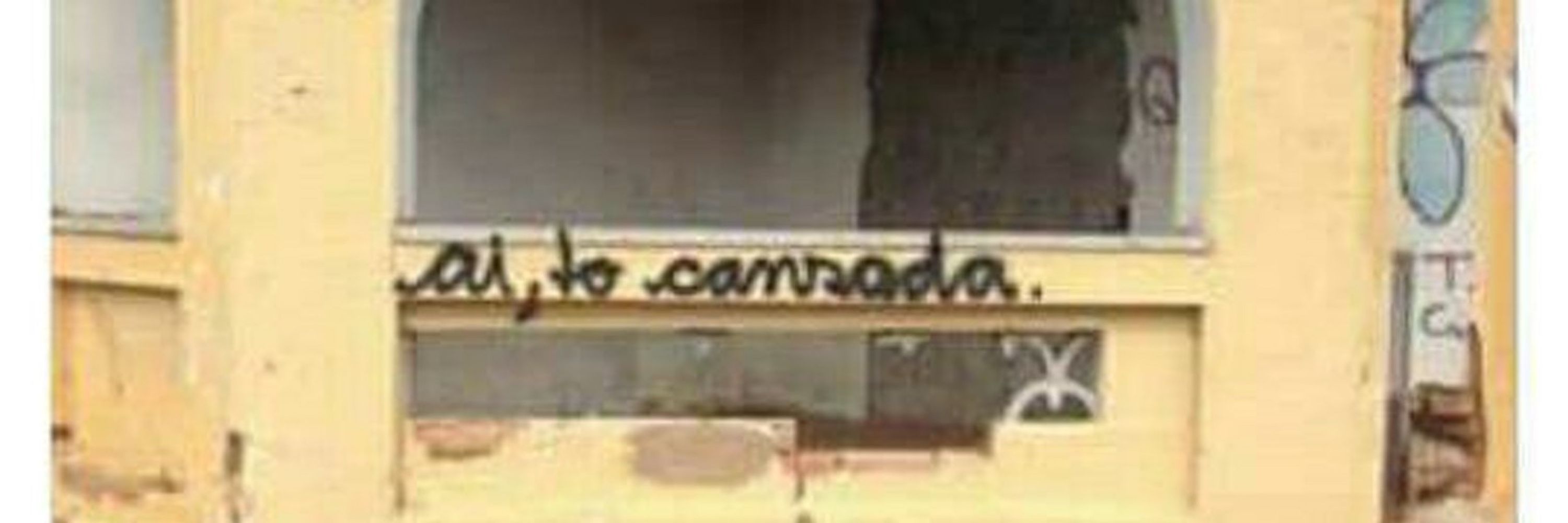Neide 🇵🇸