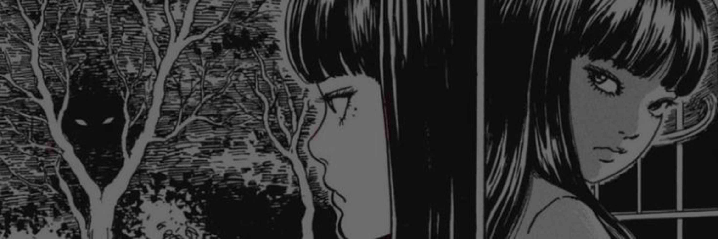 あ — 𝑆𝑜𝑟𝑎 › 🌿 ໑ . ˚