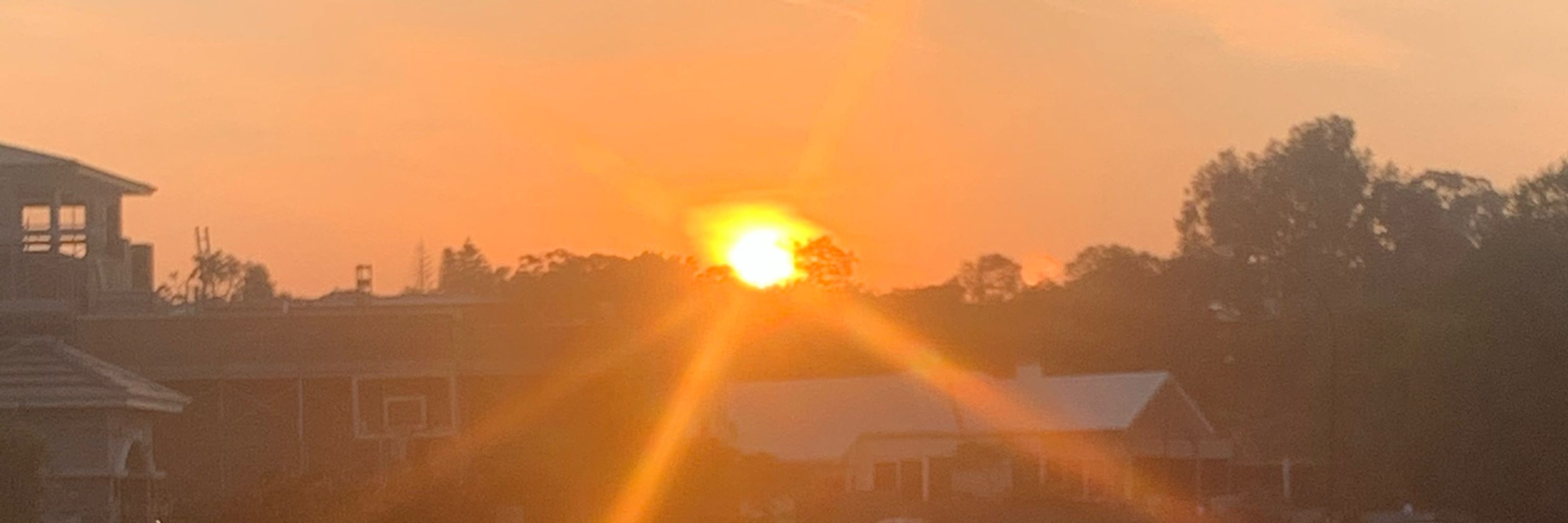 Eternal Aussie Pilgrim