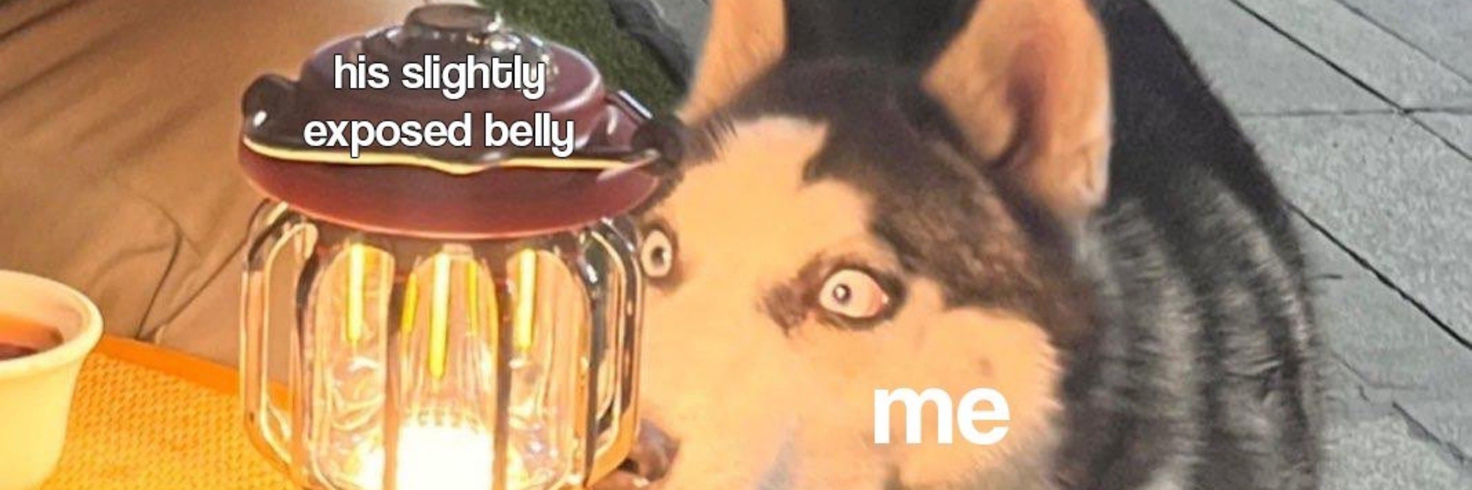 blub bloop