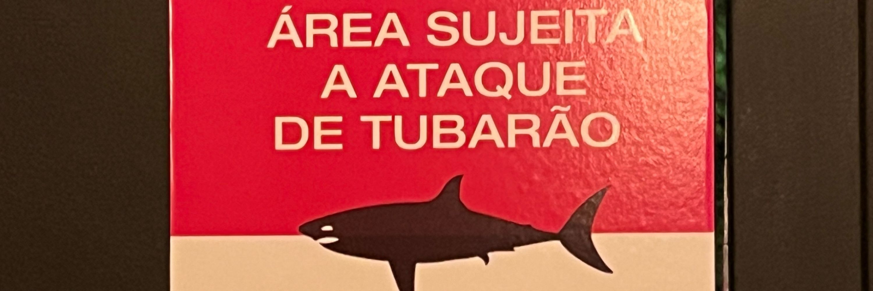 Nem realça gata