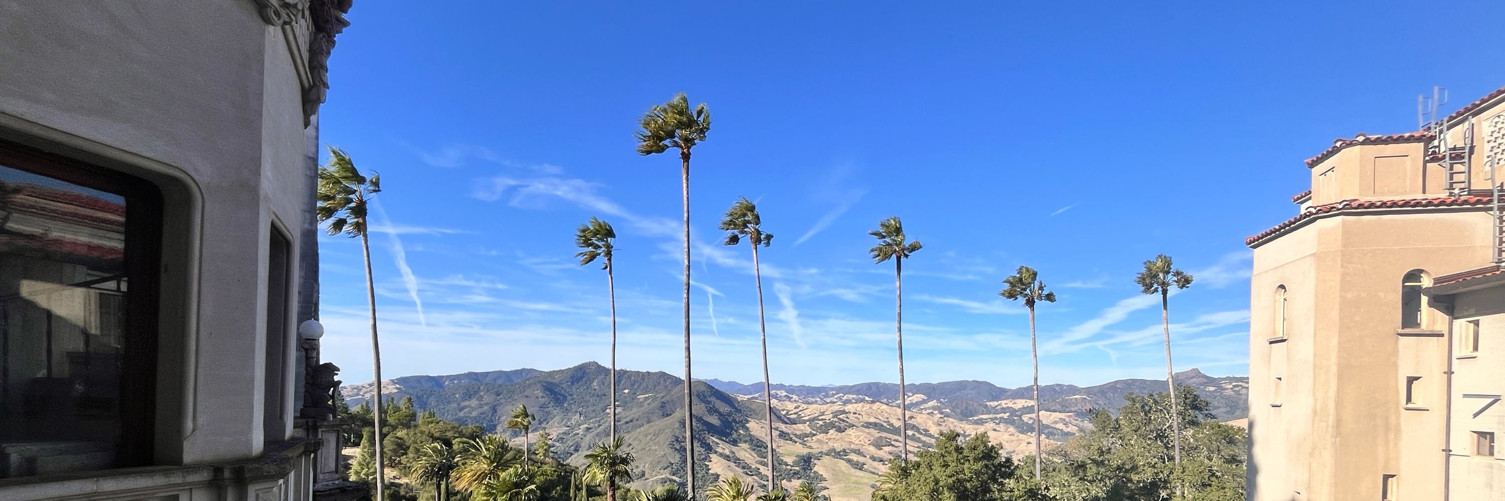 Bearika